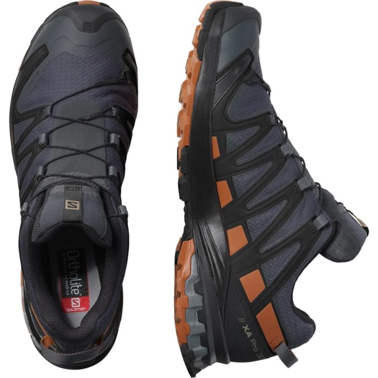 Sapatilhas Trail Running Salomon Xa Pro 3d V8 GTX Masculino Azul Marinho | PT G32695